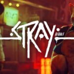 Stray